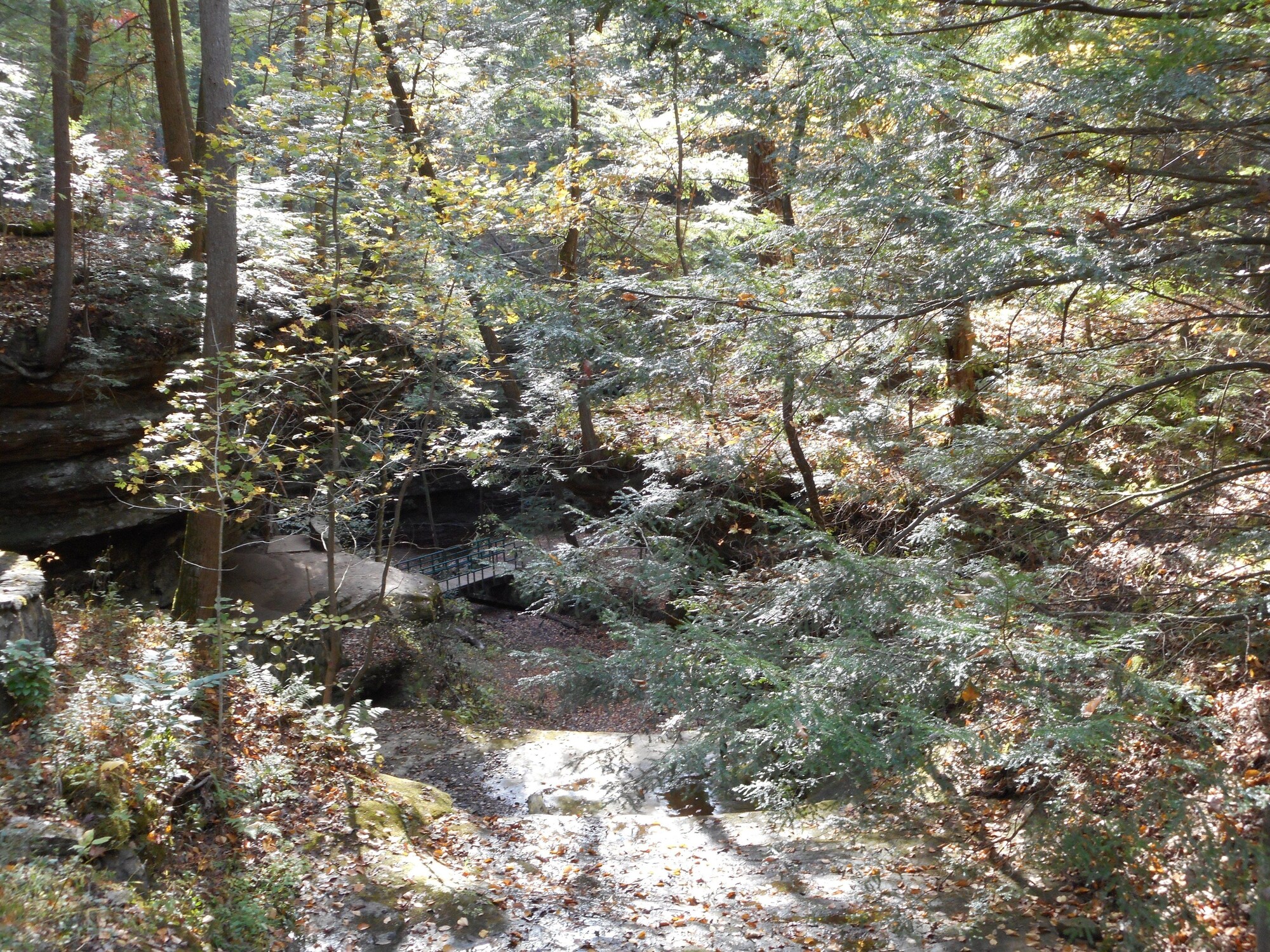 Holiday Inn Express Hocking Hills - Logan