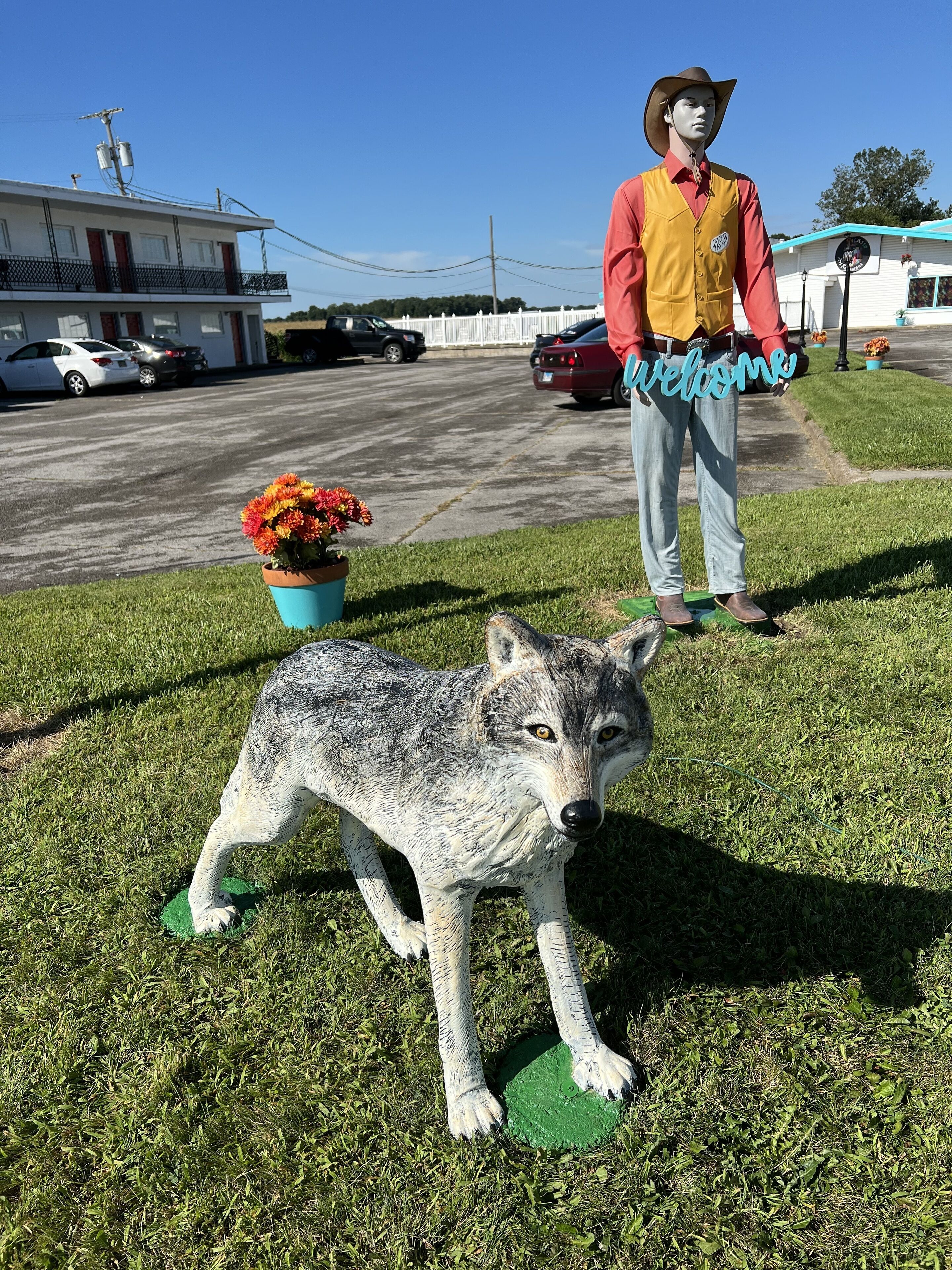 Motel Boutique By Wolf Inn