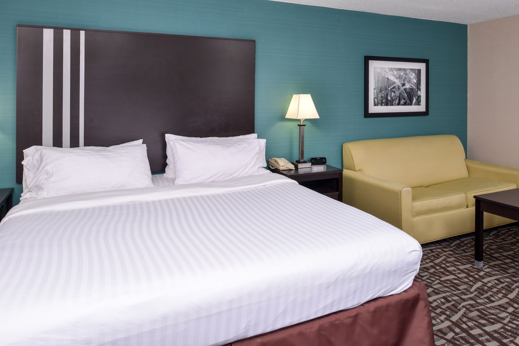 Holiday Inn Express & Suites Youngstown (N. Lima/Boardman)