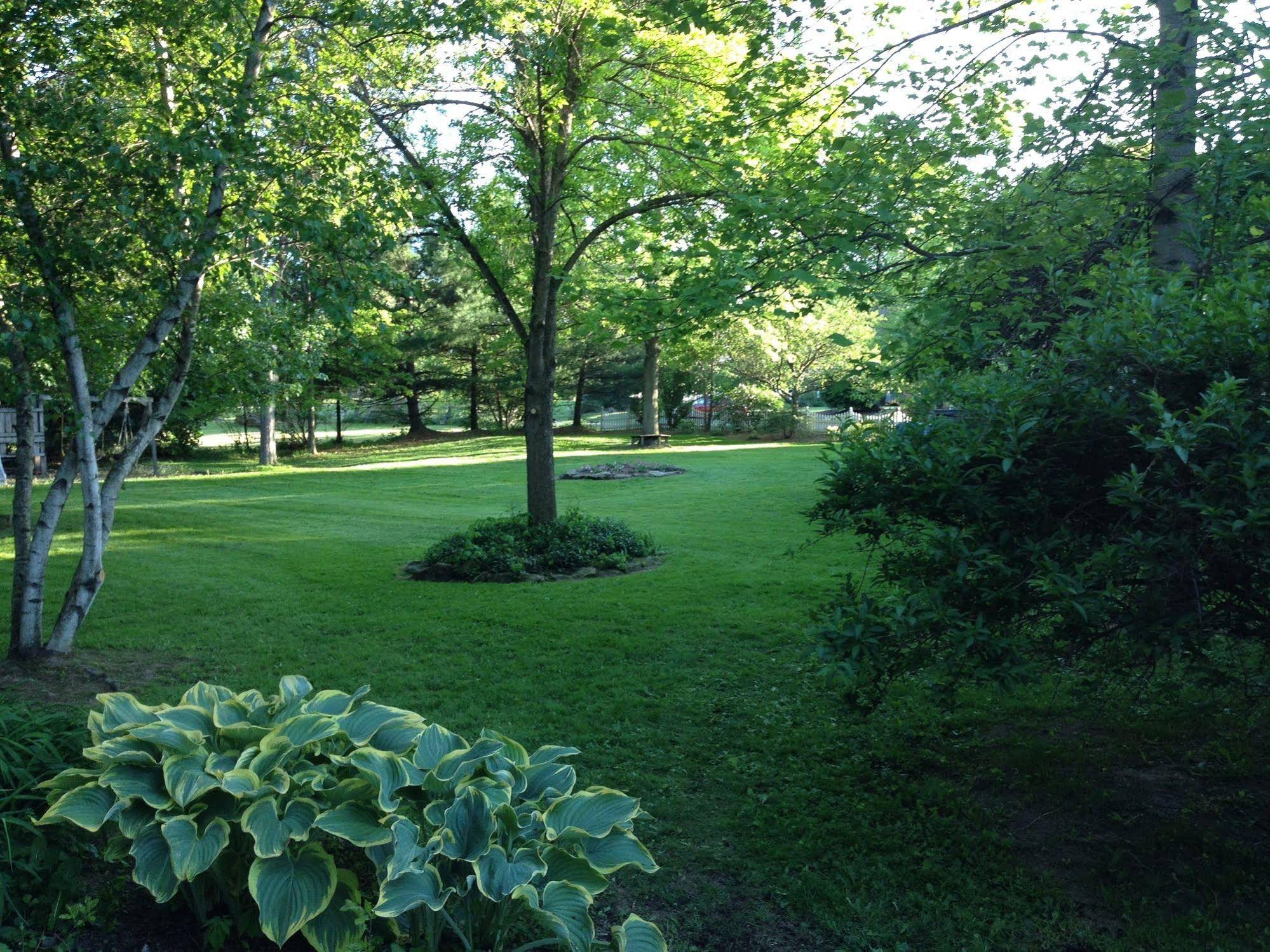 Silver Fern Bed & Breakfast