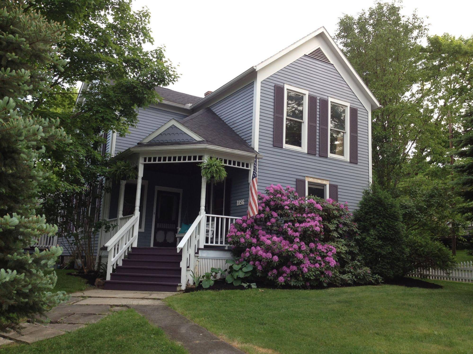 Silver Fern Bed & Breakfast