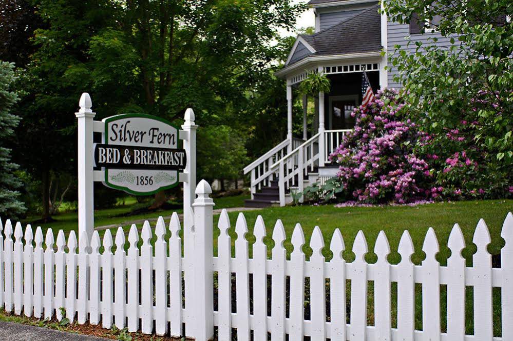 Silver Fern Bed & Breakfast