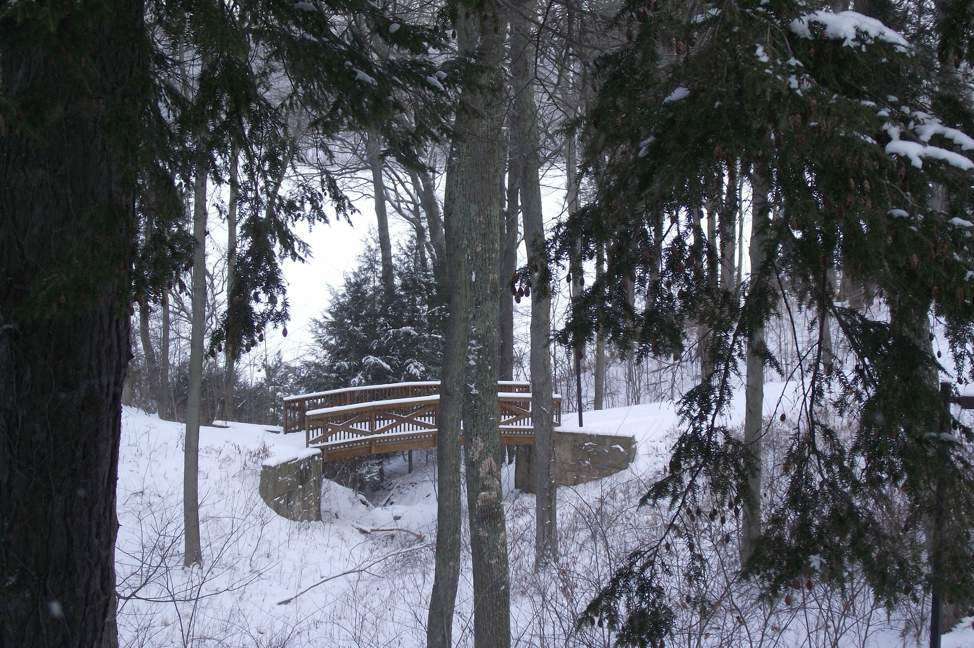 Mohican Lodge and Conference Center