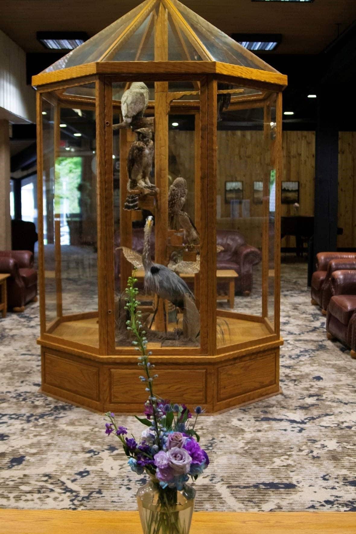 Mohican Lodge and Conference Center