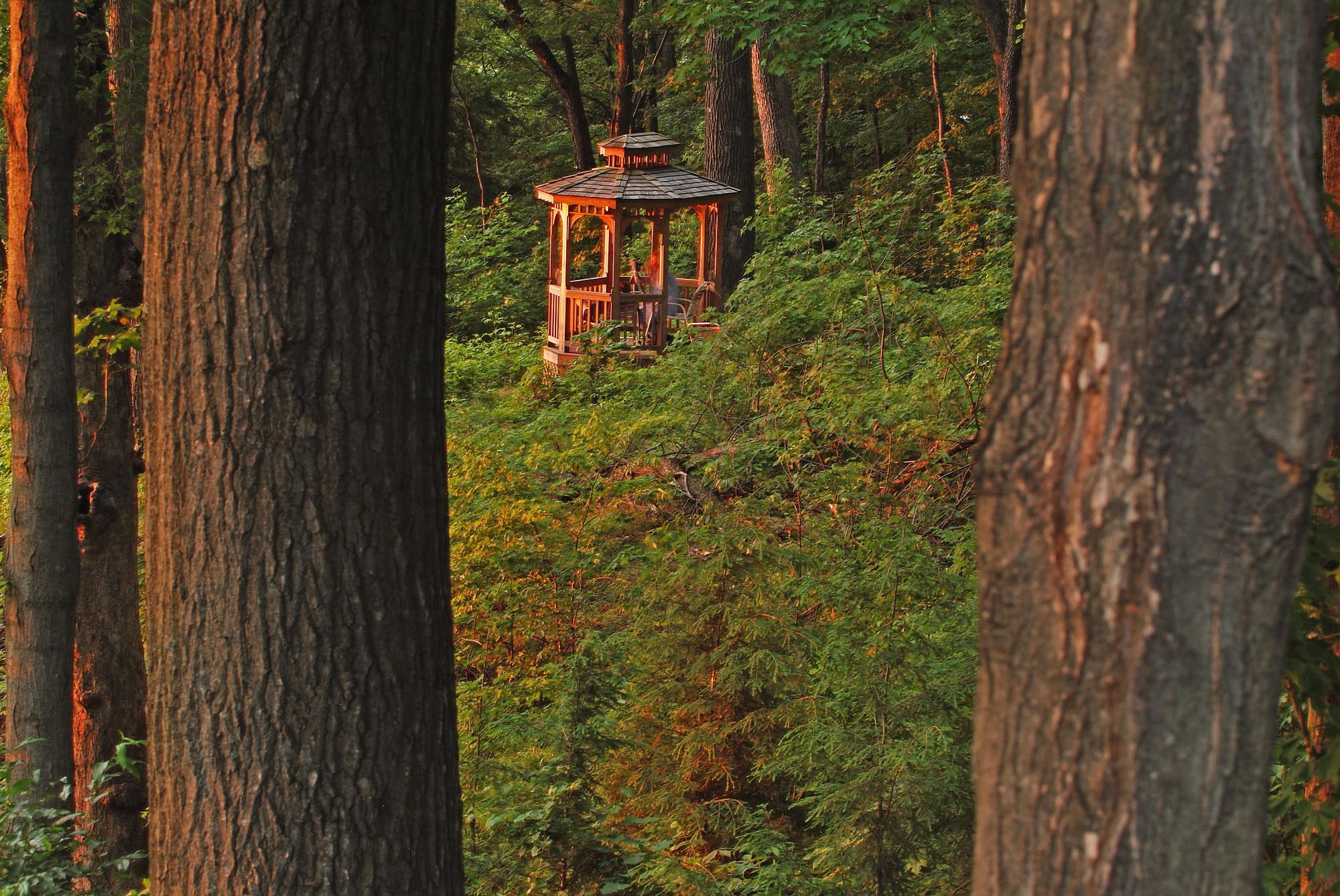 Mohican Lodge and Conference Center