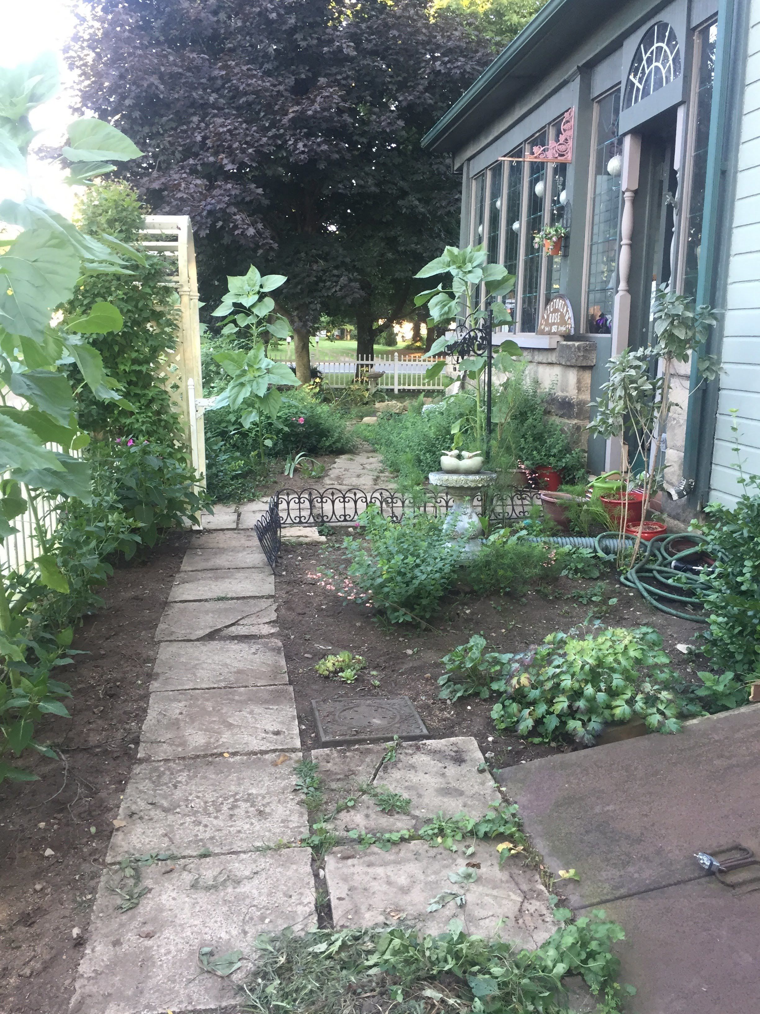 1873 Victorian Rose B & B