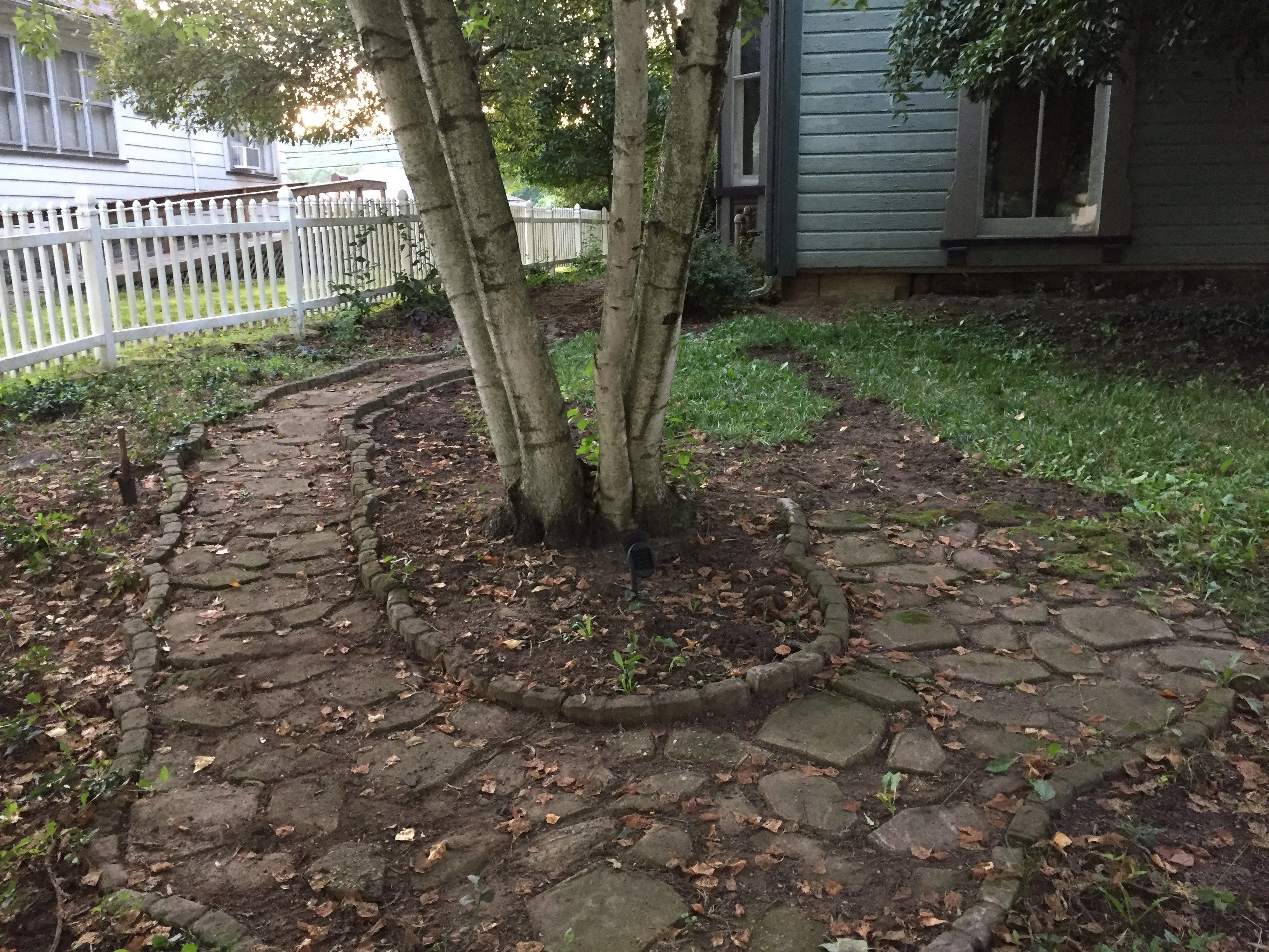 1873 Victorian Rose B & B