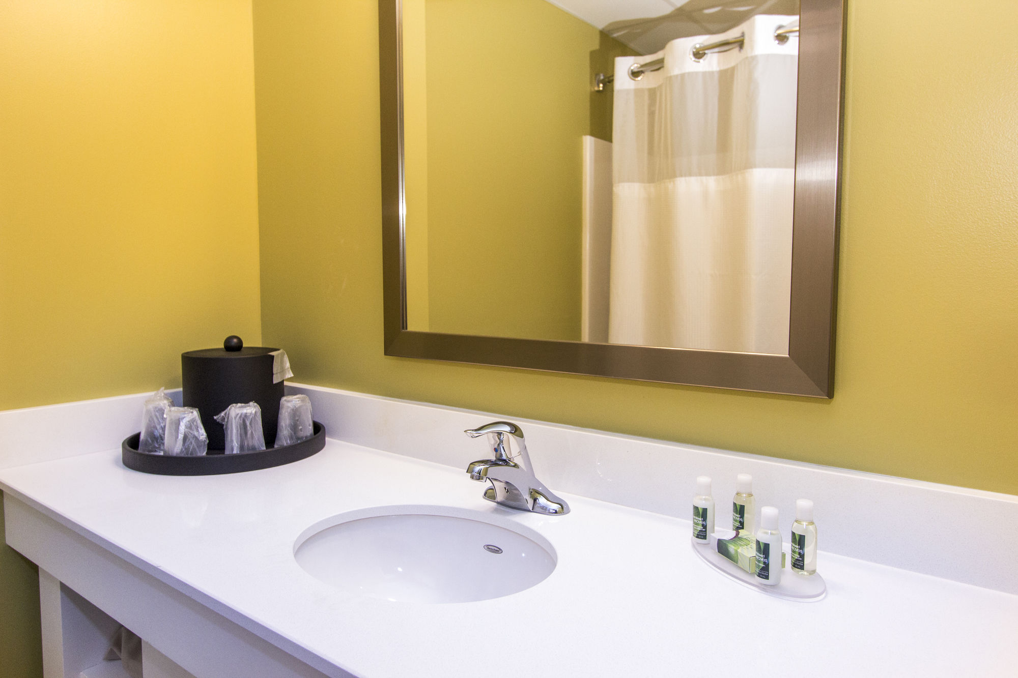 Cedar Point's Express Hotel