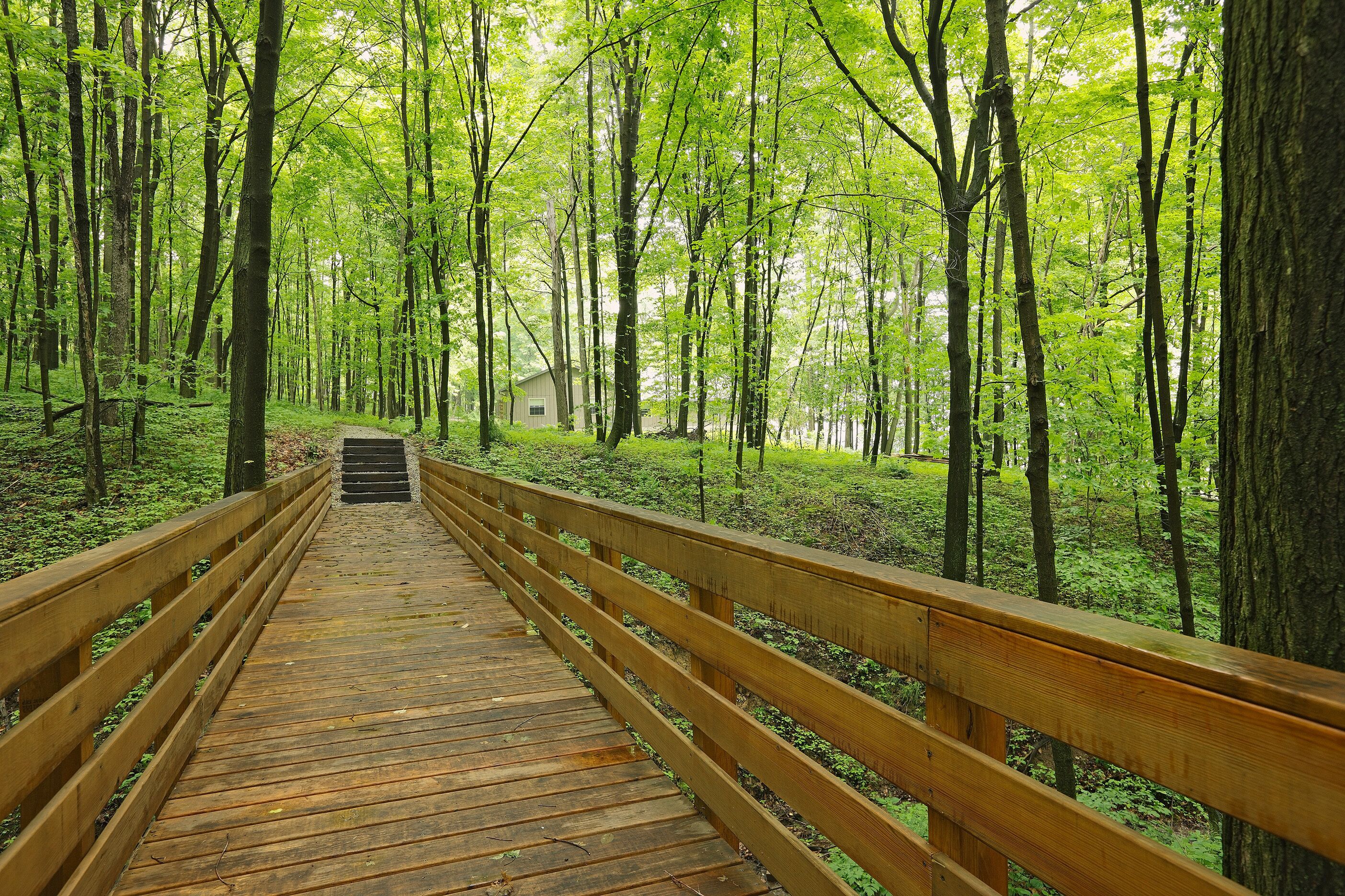 Sojourner's Lodge & Log Cabin Suites