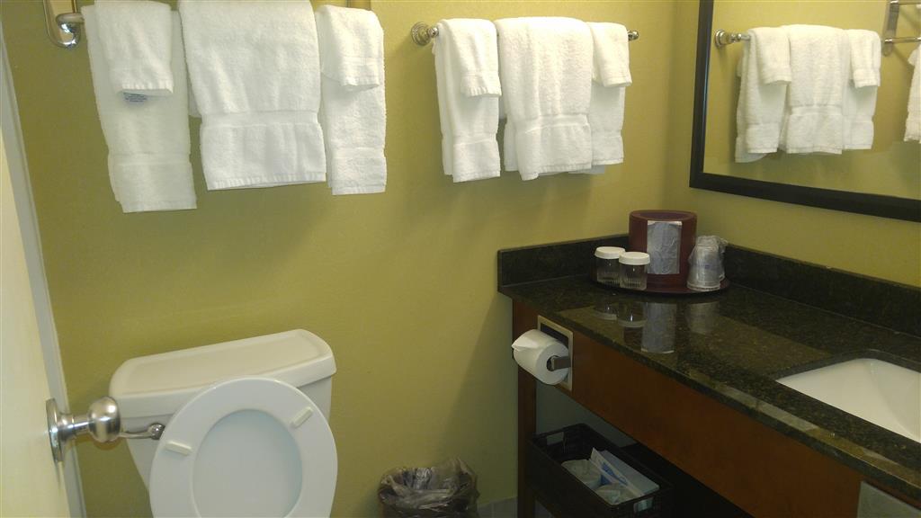 Best Western Plus Wooster Hotel & Conference Center