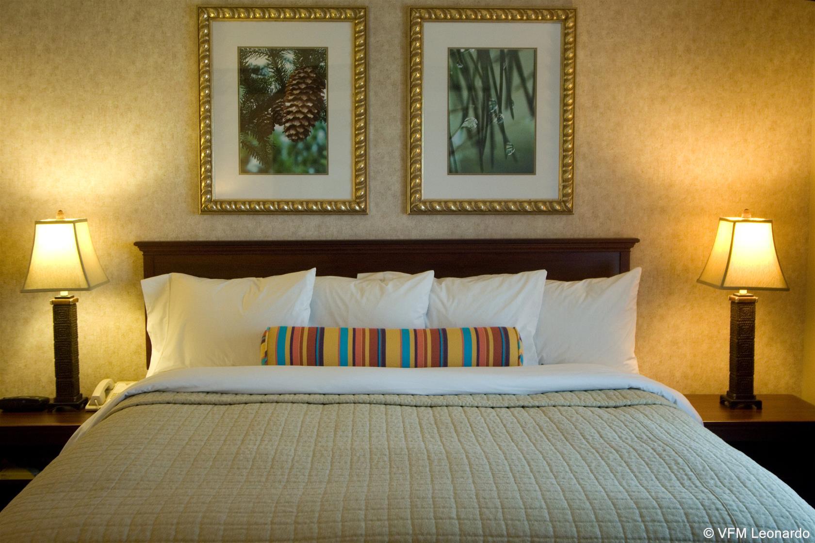 Phoenix Inn Suites Albany