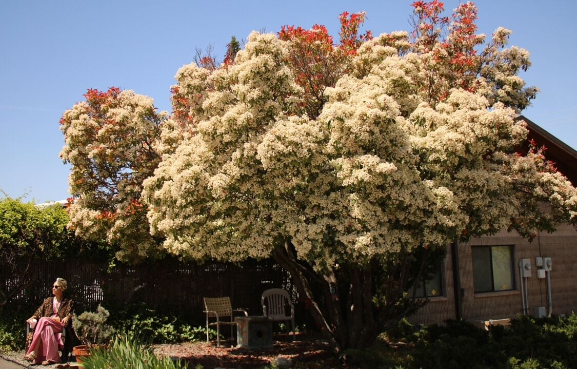 Ashland Commons Hostel