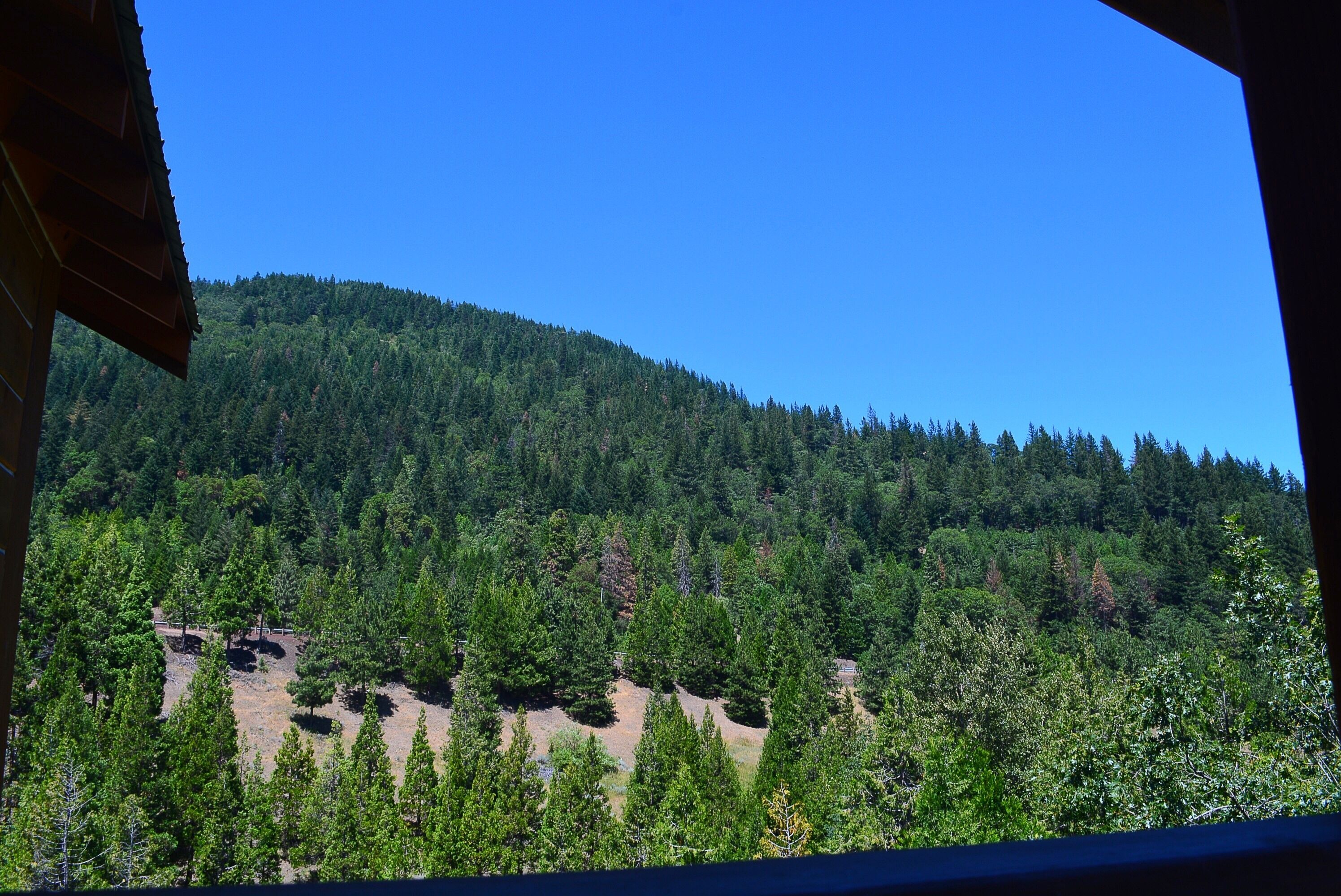 Callahan's Lodge and Restaurant