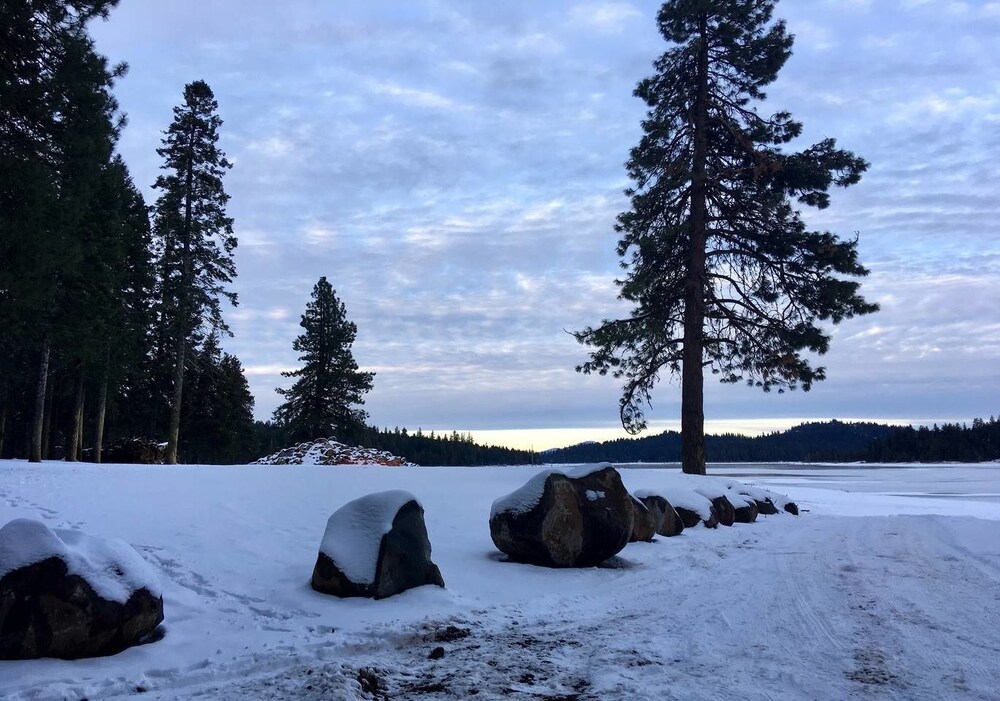 Mountain Pine Cabin Pet Friendly