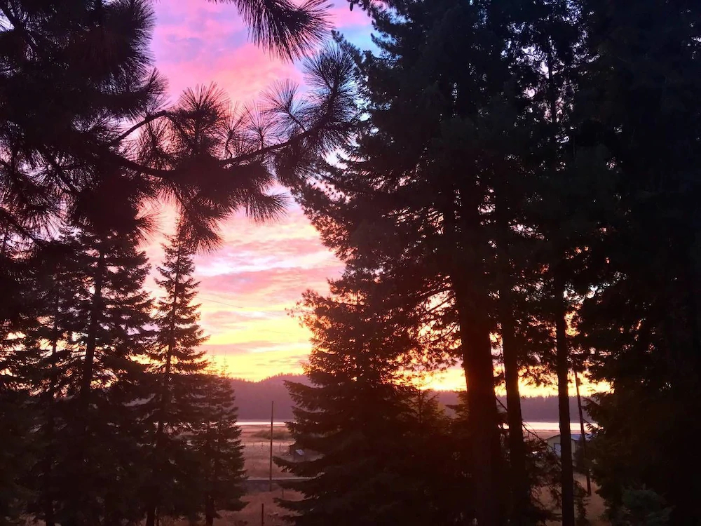 Mountain Pine Cabin Pet Friendly