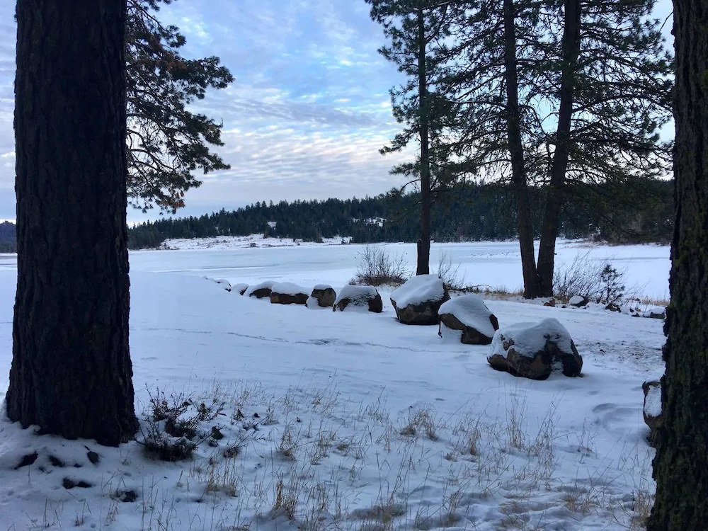 Mountain Pine Cabin Pet Friendly