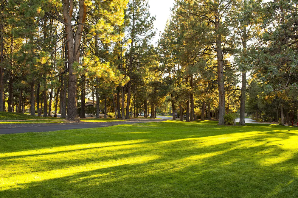 Mount Bachelor Village Resort