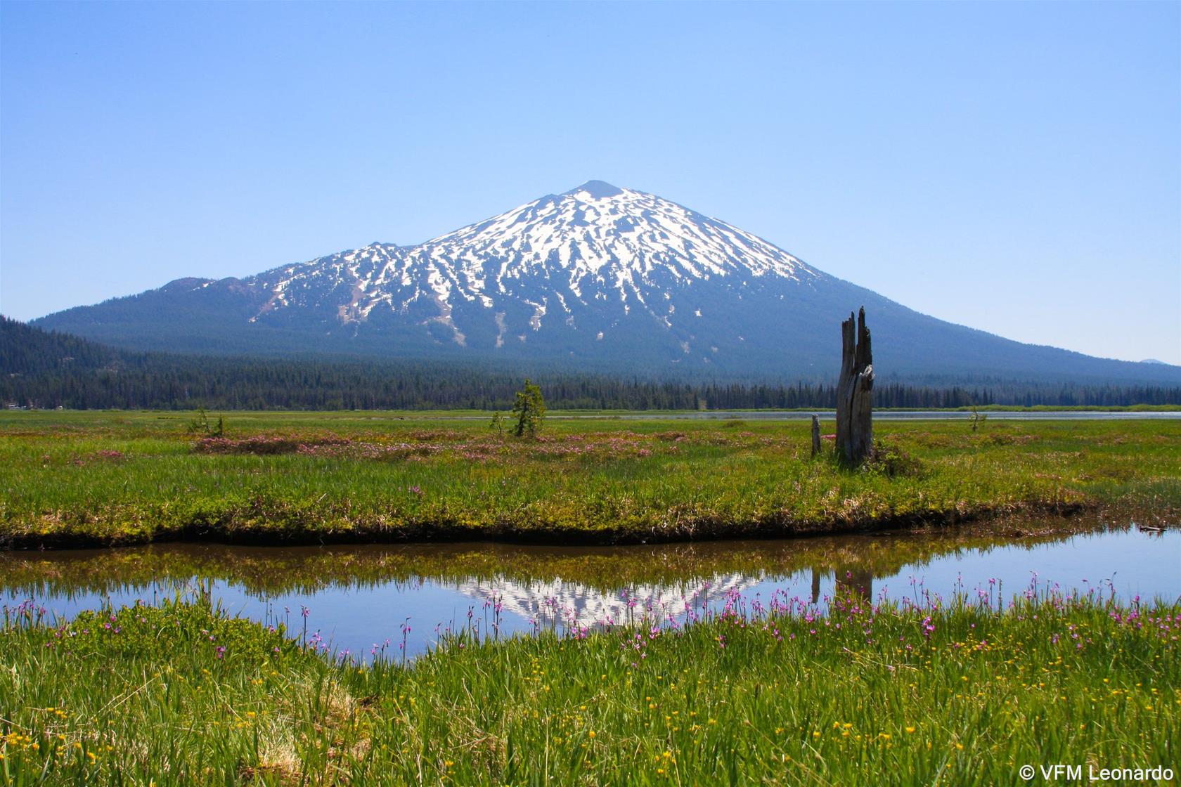 The Oxford Hotel Bend