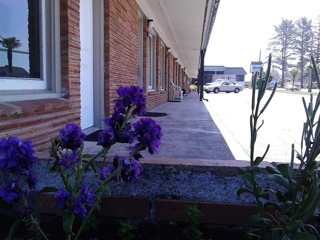 Blue Coast Inn and Suites