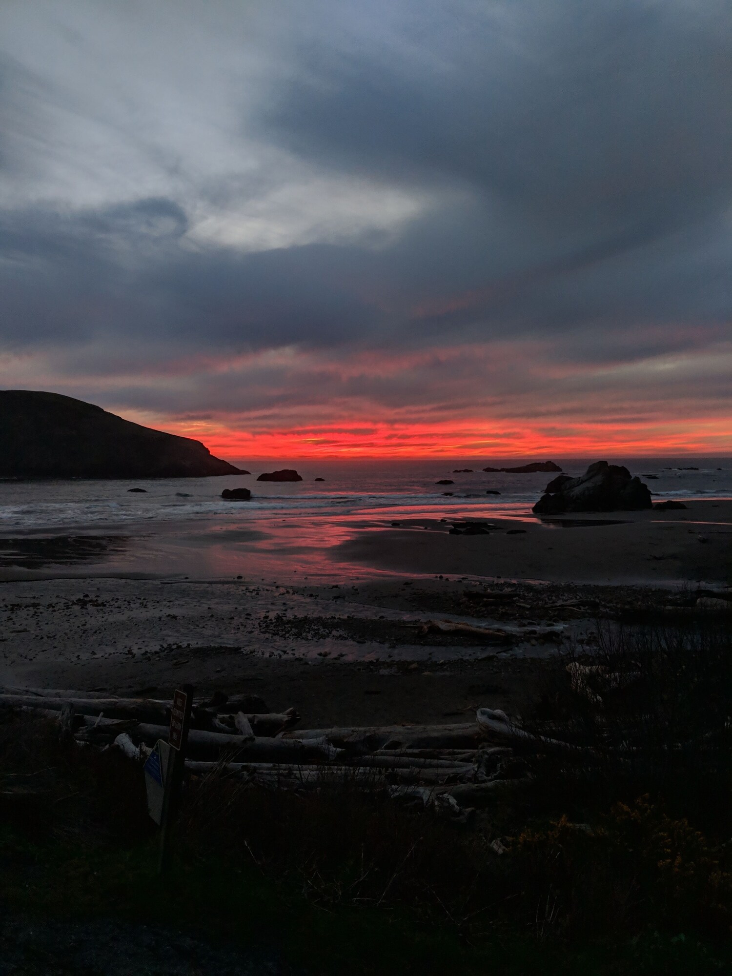 Blue Coast Inn and Suites