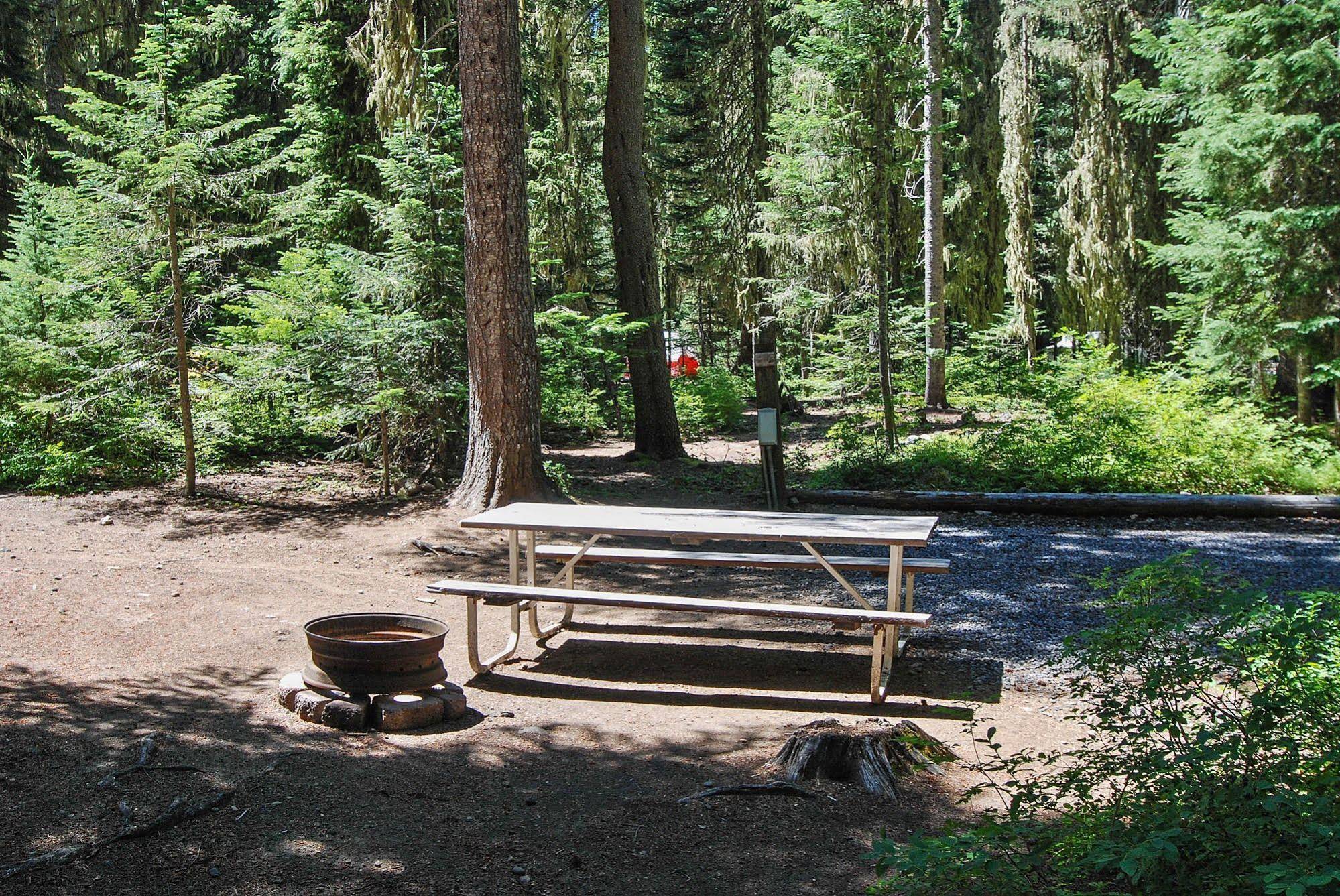 Shelter Cove Resort and Marina