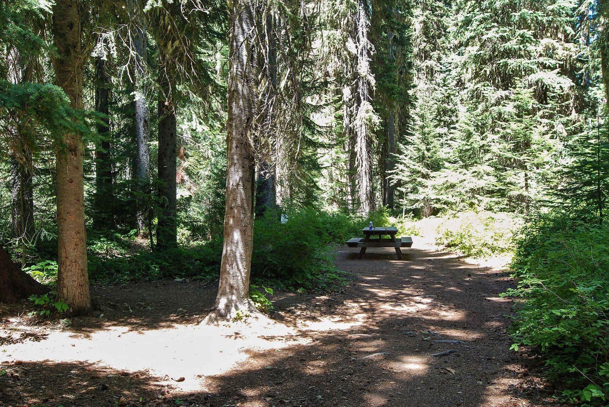 Shelter Cove Resort and Marina