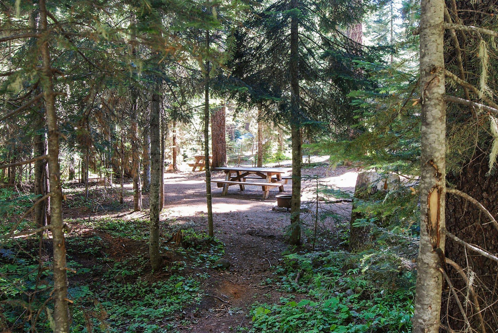 Shelter Cove Resort and Marina