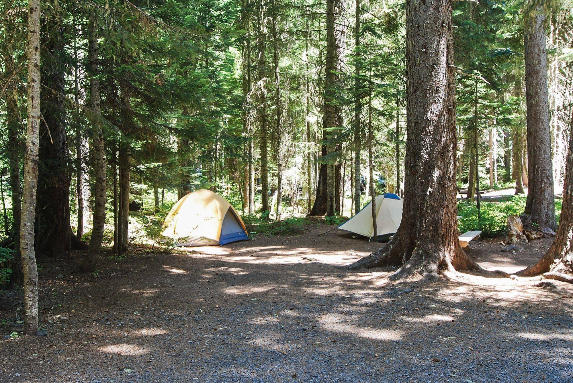 Shelter Cove Resort and Marina