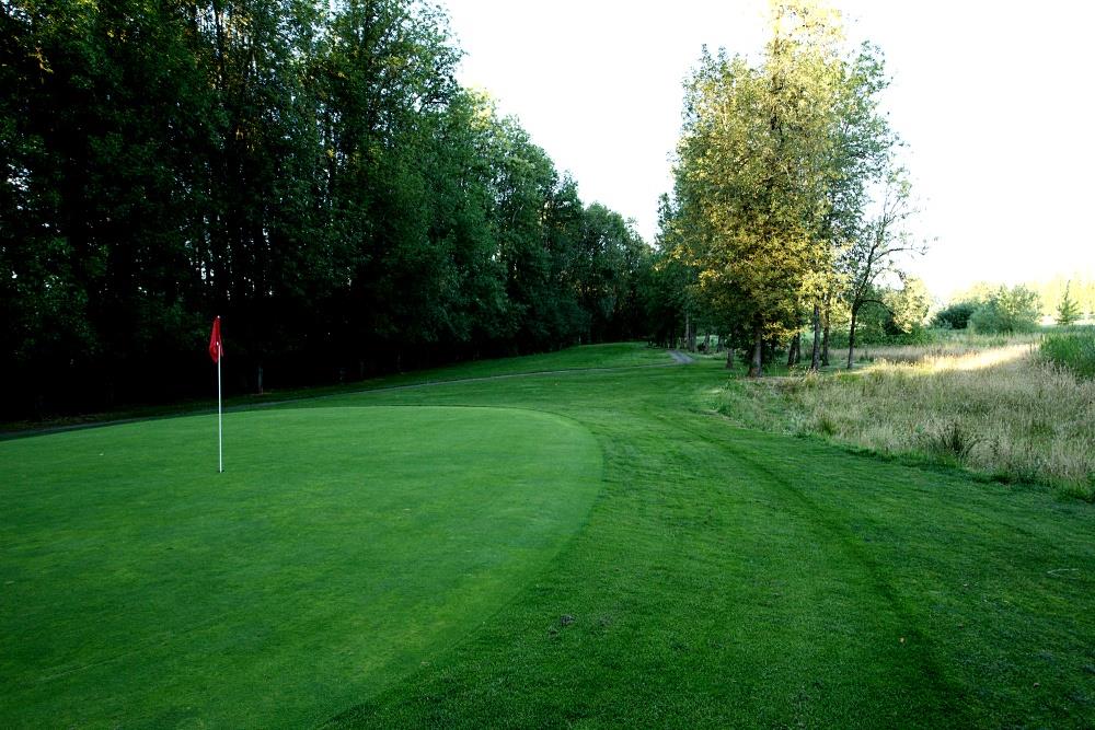 Best Western Dallas Inn & Suites