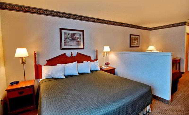 Best Western Dallas Inn & Suites