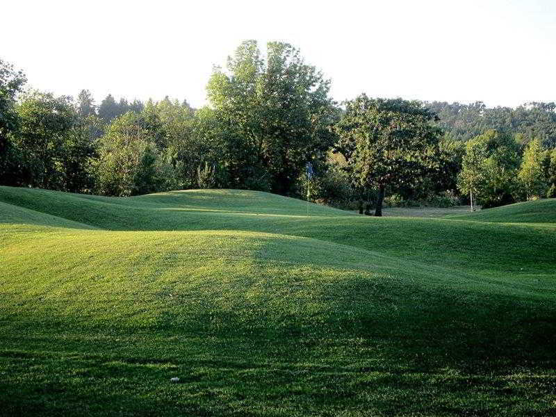 Best Western Dallas Inn & Suites