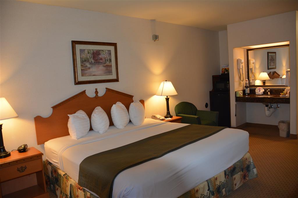 Best Western Dallas Inn & Suites