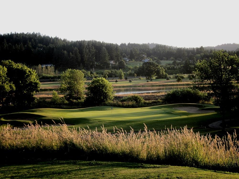 Best Western Dallas Inn & Suites