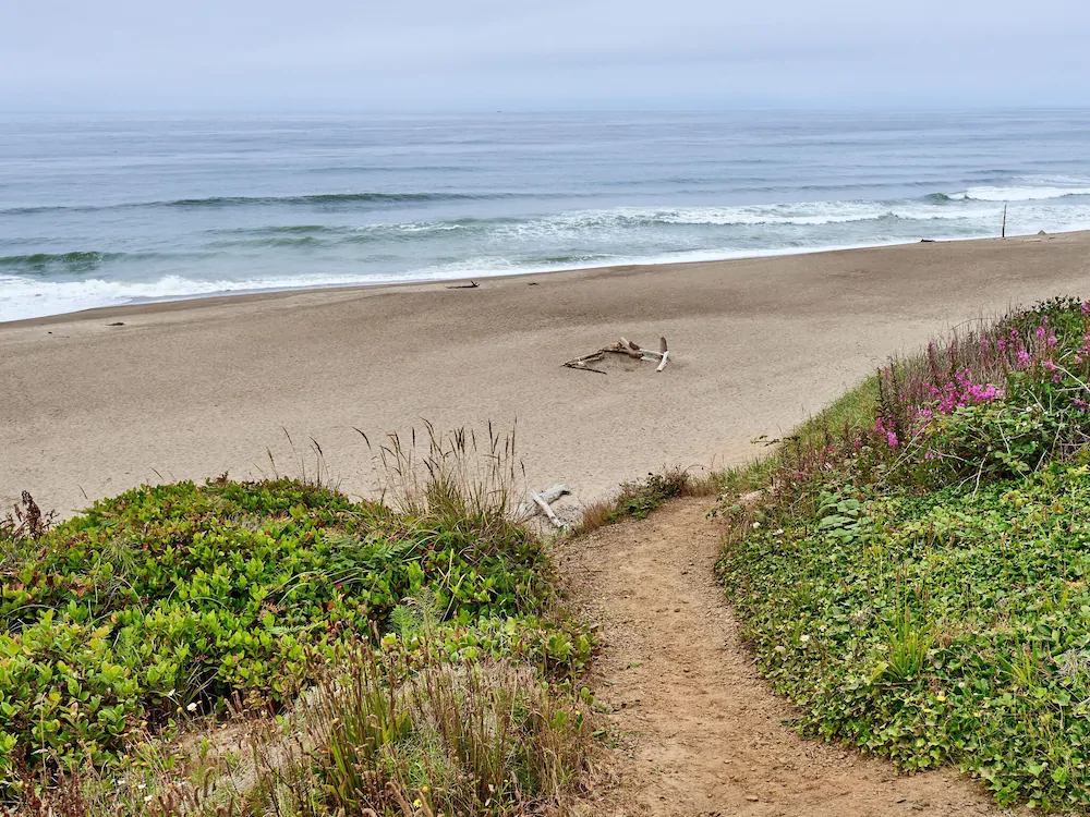 Surfer's Beach Retreat