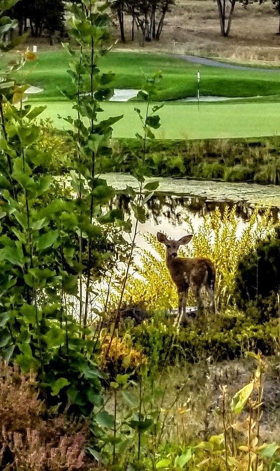 The Resort At Eagle Point