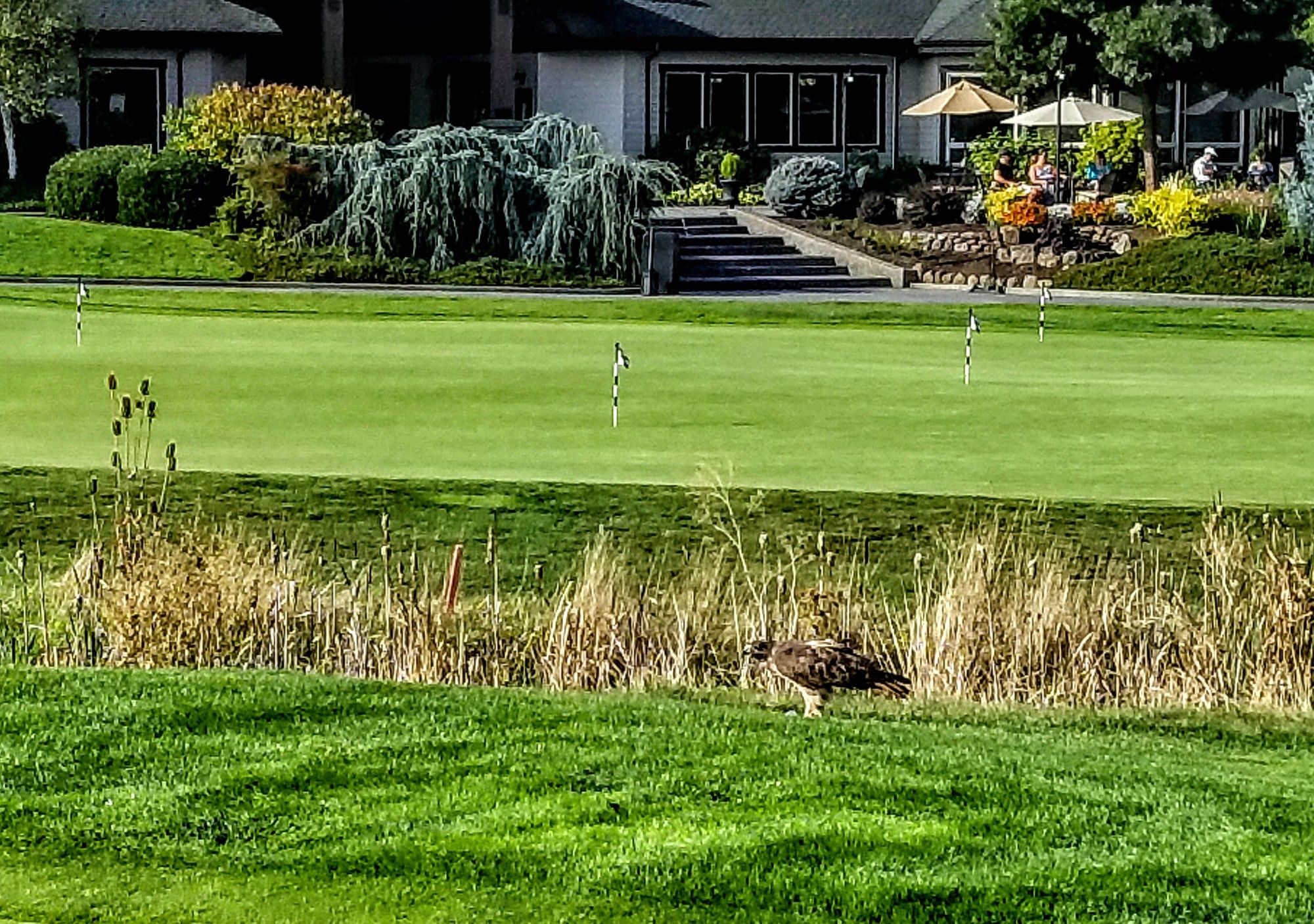 The Resort At Eagle Point