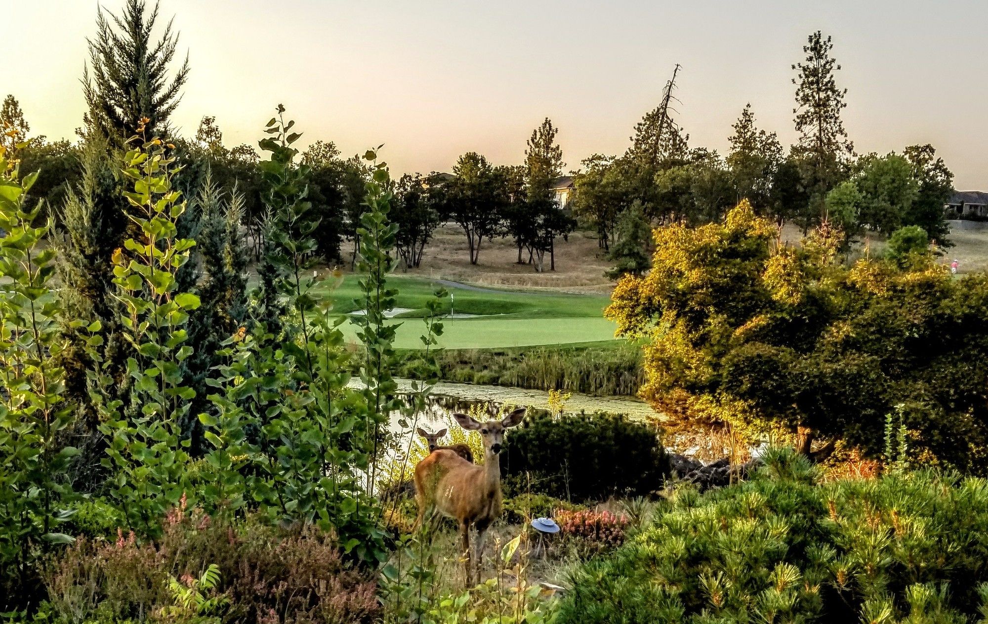 The Resort At Eagle Point