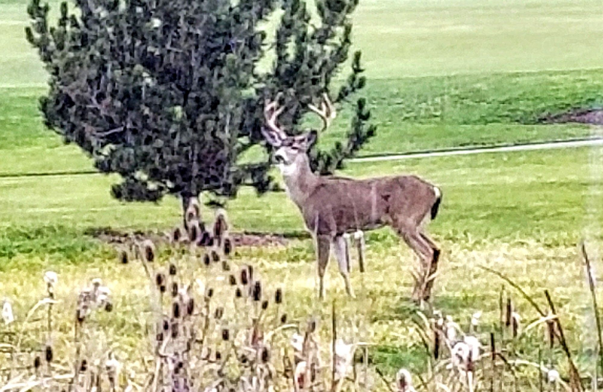 The Resort At Eagle Point