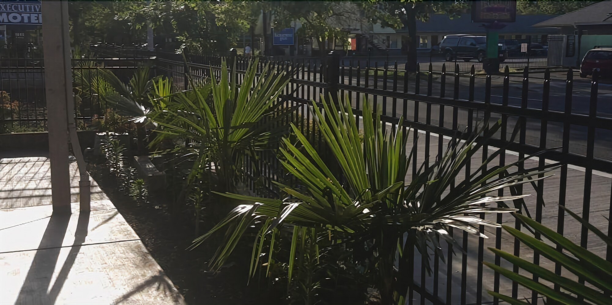 Express Inn and Suites