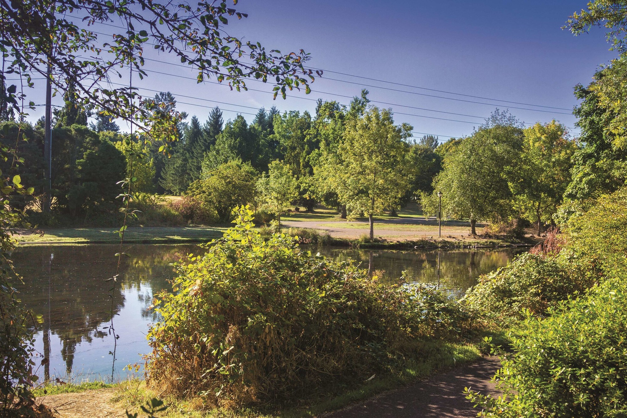 La Quinta Inn & Suites by Wyndham Eugene