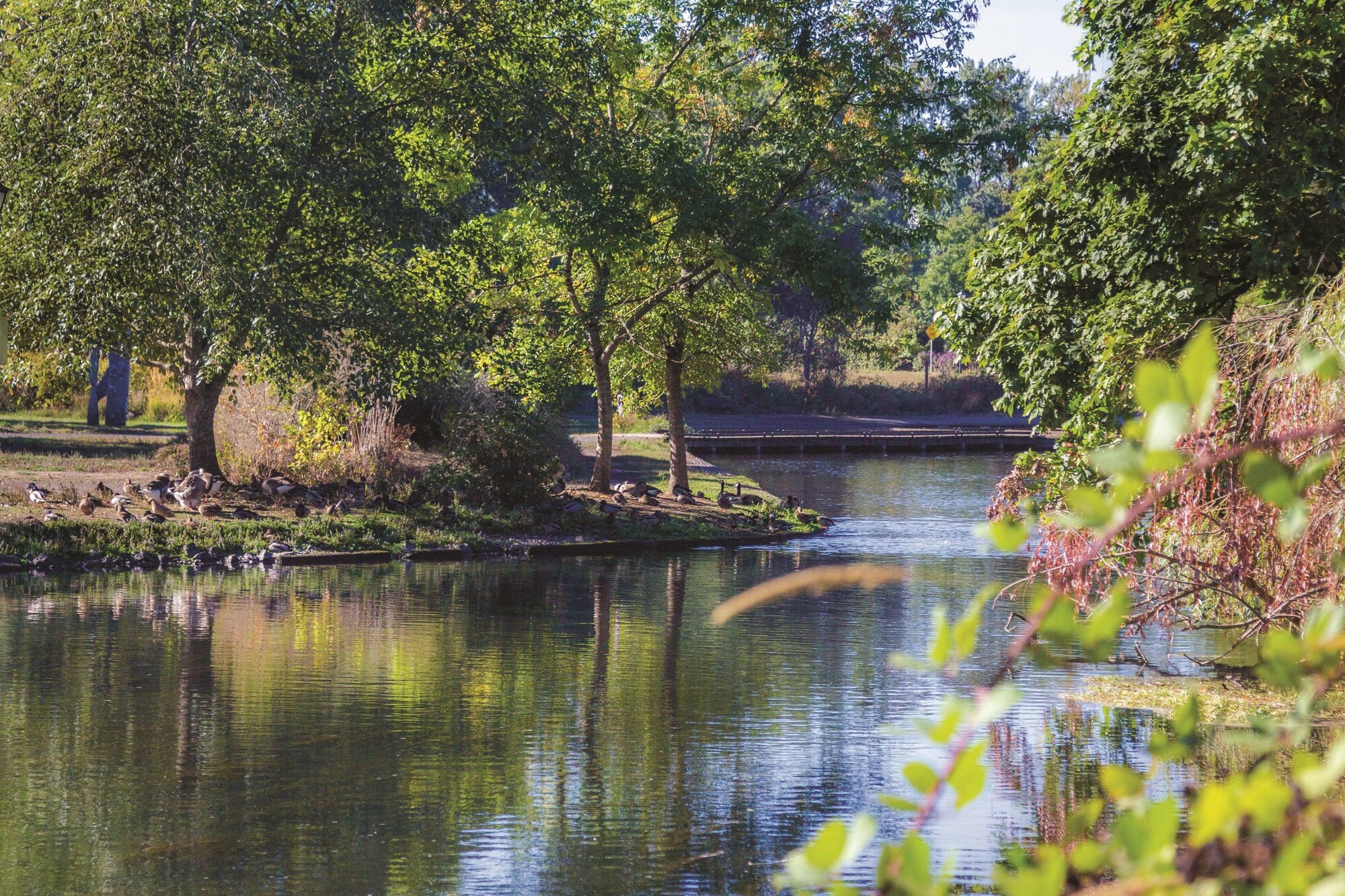 La Quinta Inn & Suites by Wyndham Eugene