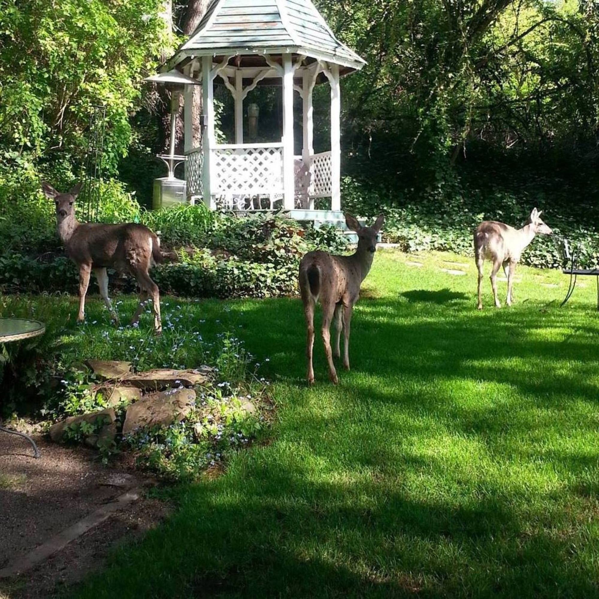 The Campbell House Inn