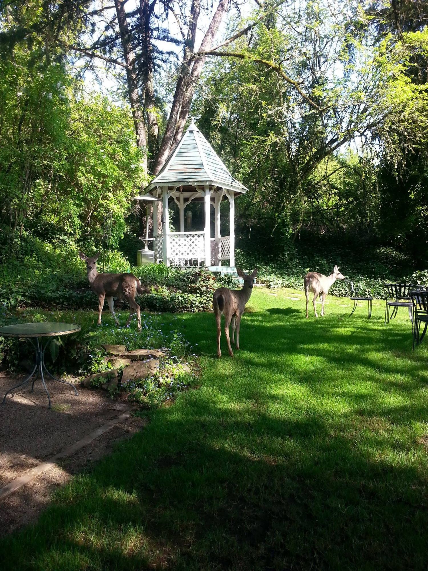 The Campbell House Inn
