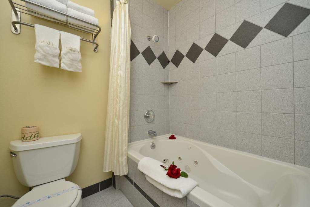 University Inn & Suites