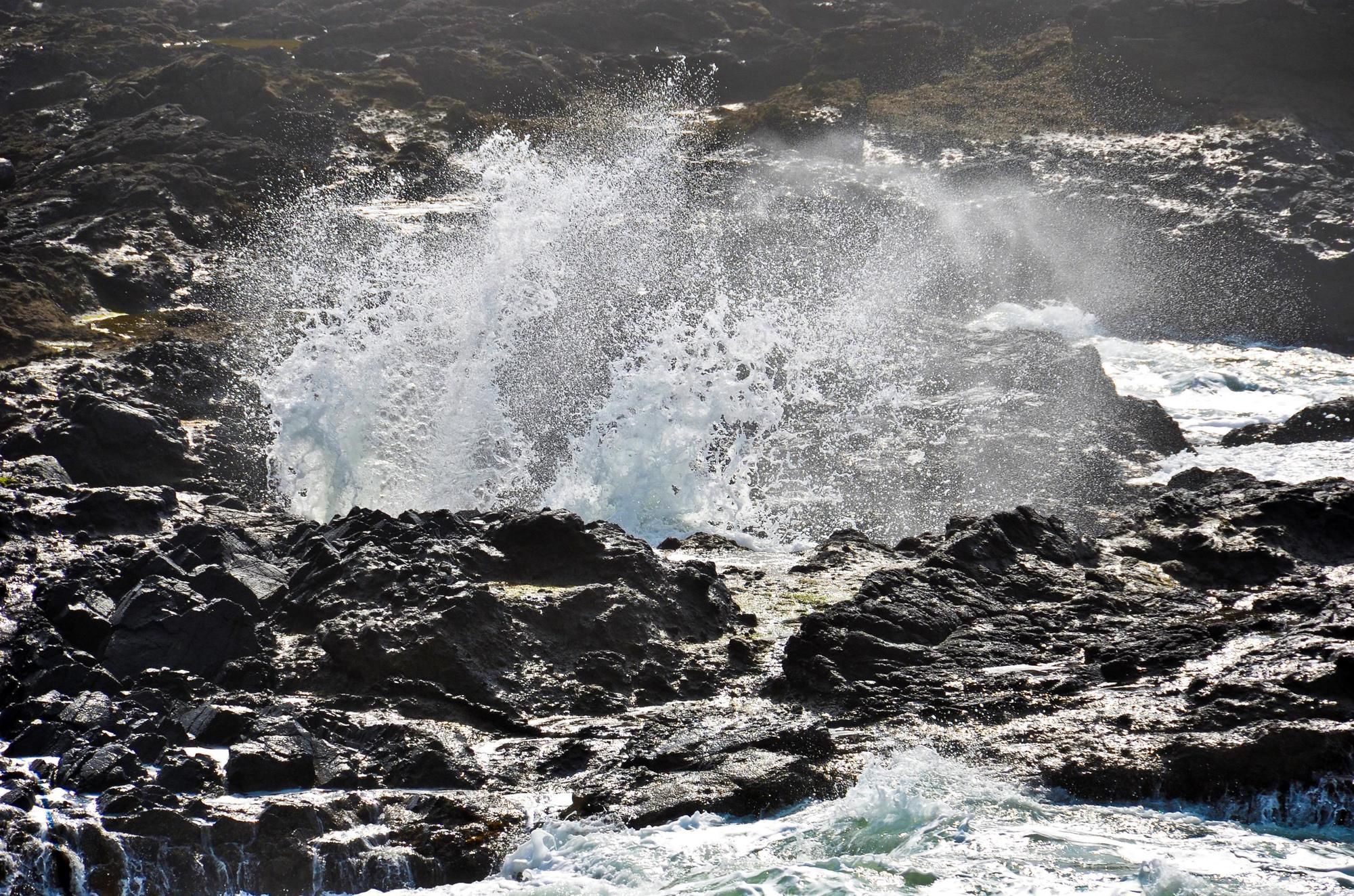 Best Western Pier Point Inn