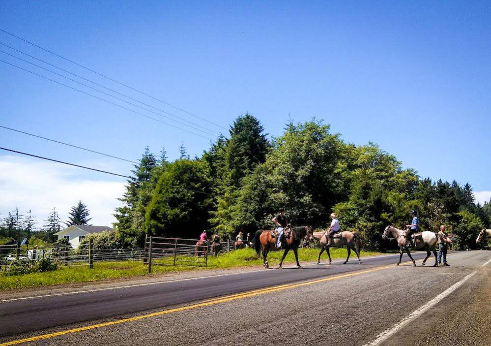 South Jetty RV & Camping Resort