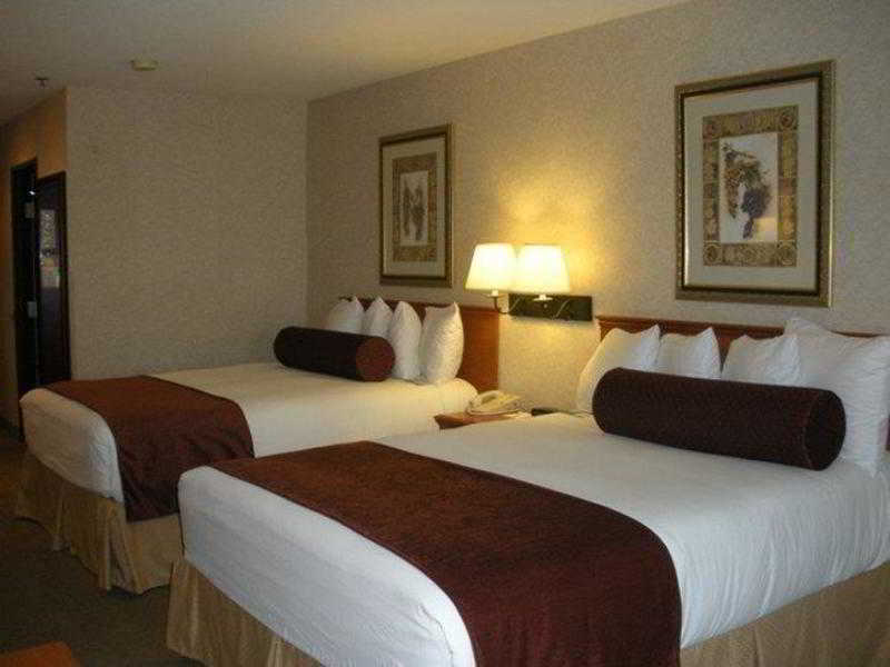 Best Western University Inn & Suites