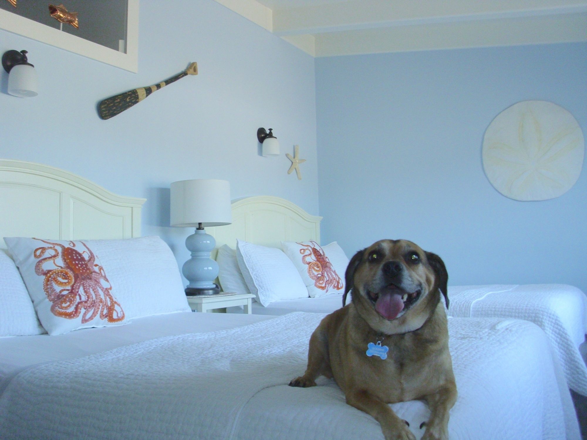 Harborview Inn & RV Park