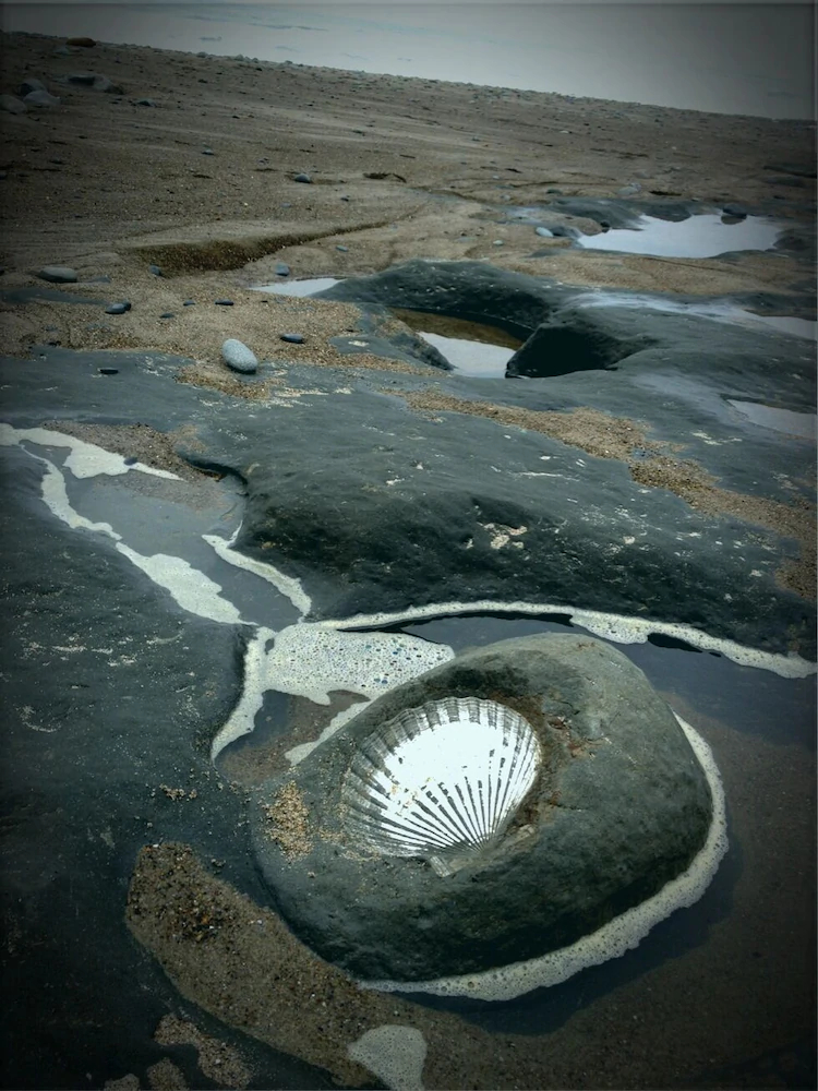 Admiral's Beach Retreat