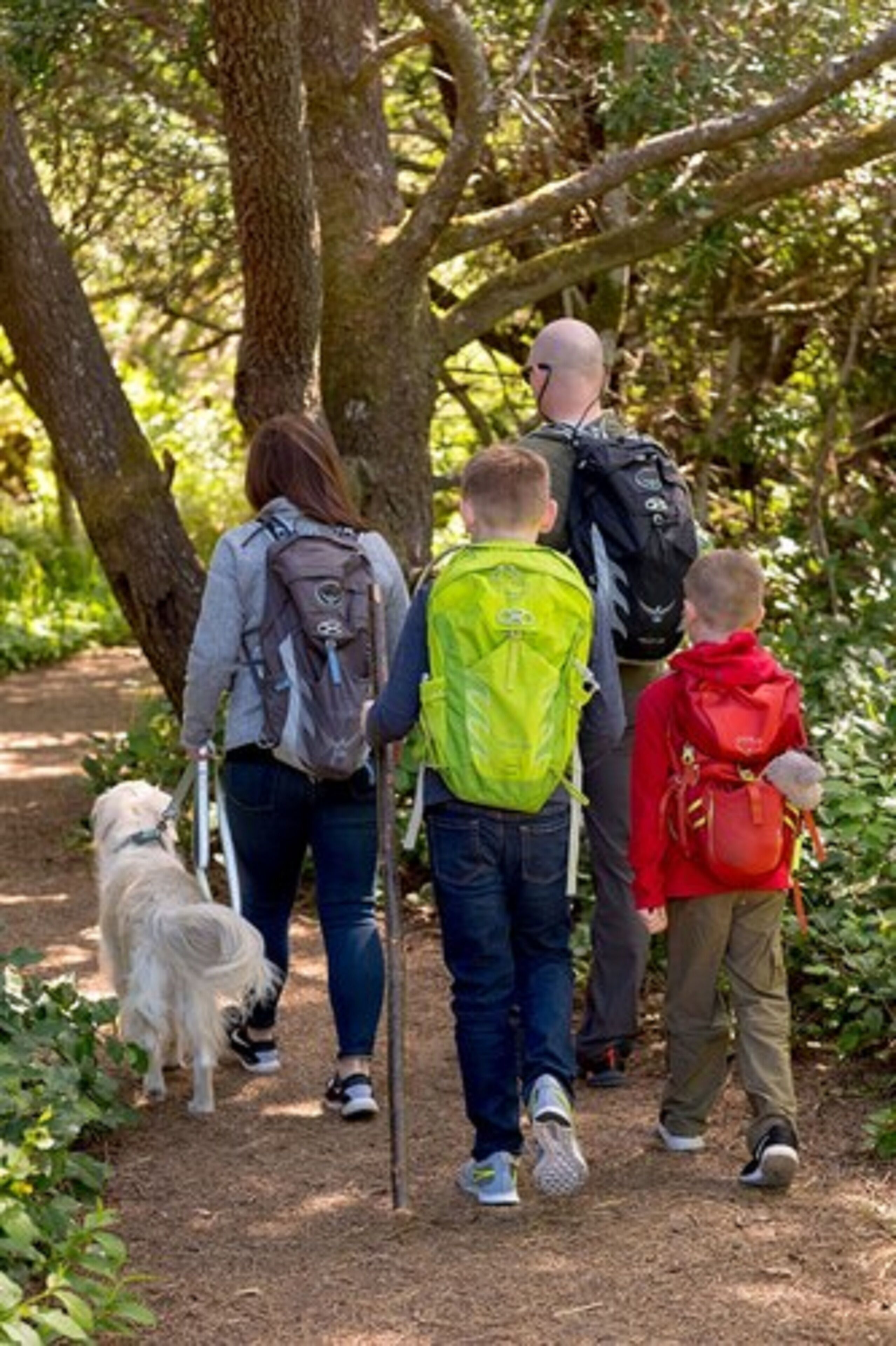 Salishan Coastal Lodge by SCP